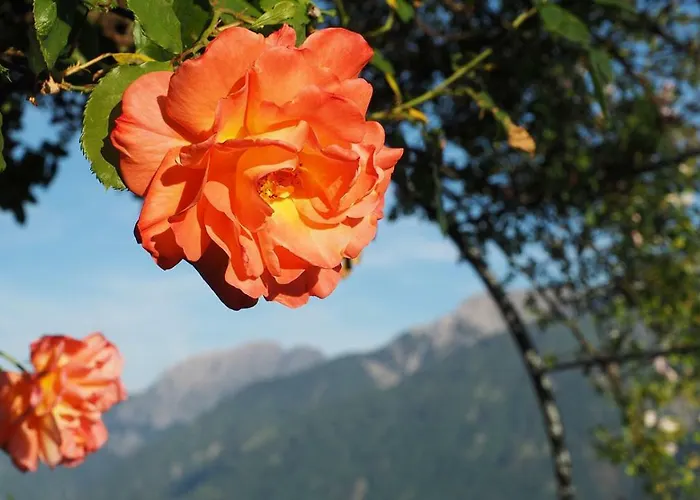 Appartamento Bergh Am Berg