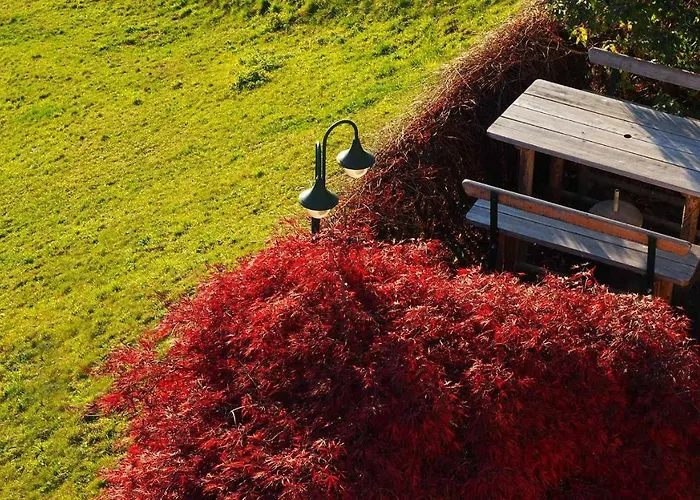 Bergh Am Berg Irschen